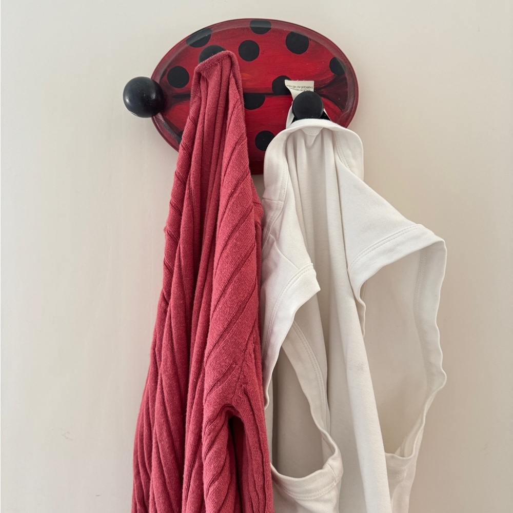 Handcrafted Wood Red and Black
Ladybug Wall Hook - Decorative
Home Accent - Picture 11 of 12